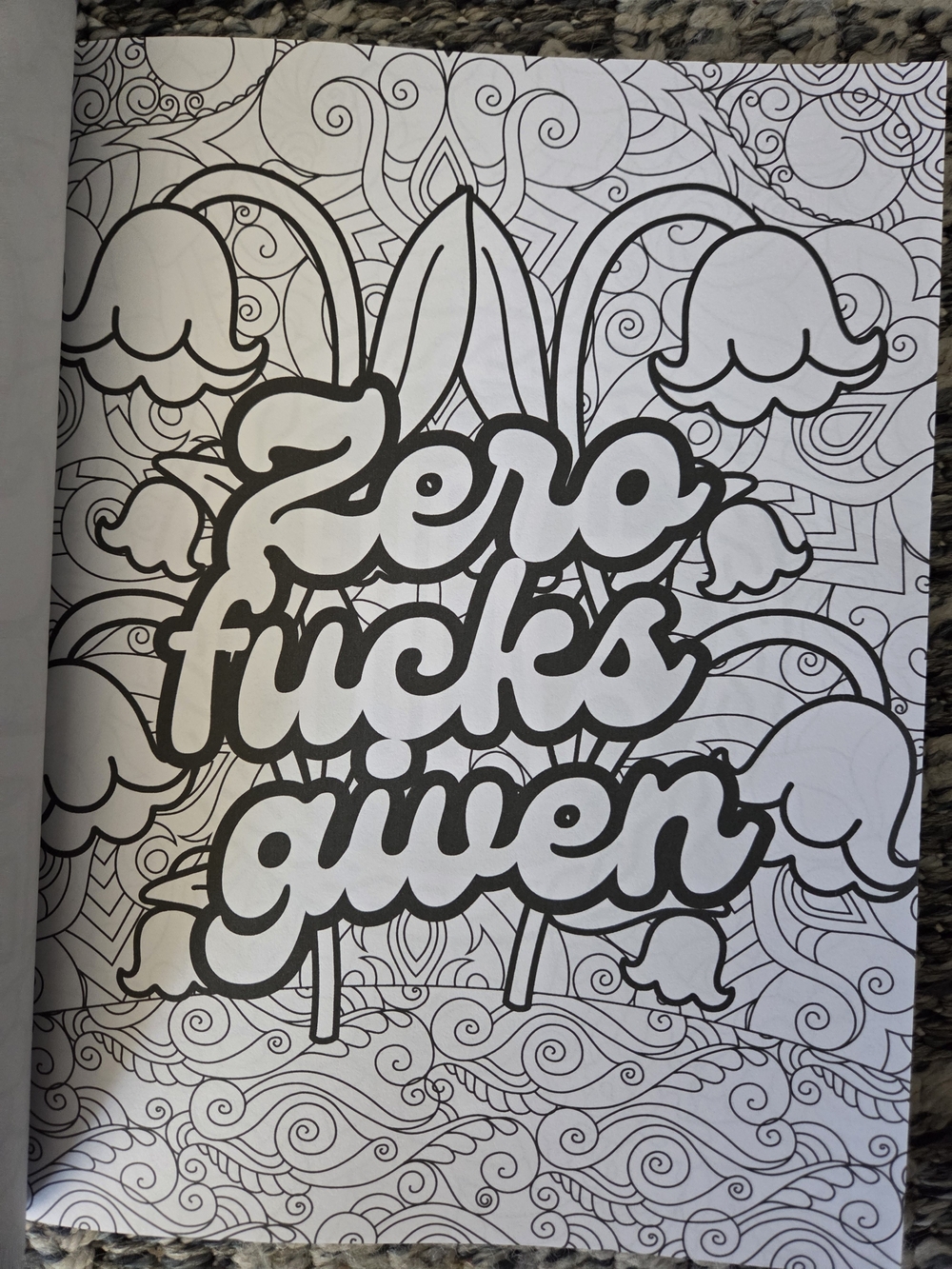Go Lick a Cactus Adult Swear Words Coloring Book - Pink Green Black Design - Picture 6 of 8
